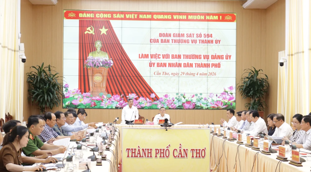 ban-thuong-vu-thanh-uy-can-tho-giam-sat.JPG