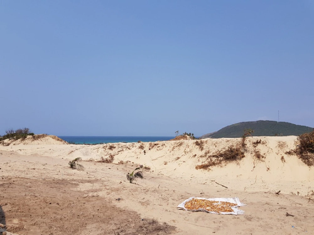 Ngắc ngoải vì “đu” theo giá đất ảo ảnh 1