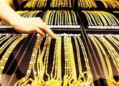 Giá vàng tại Việt Nam cao hơn thế giới nửa triệu đồng/lượng