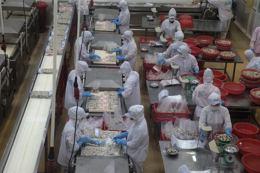 Doanh nghiệp lâm thủy sản là một trong những doanh nghiệp được vay lãi suất thấp.