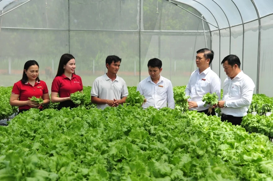 Tín dụng xanh tại Agribank trong 3 tháng đầu năm nay đã đạt 29.300 tỉ đồng