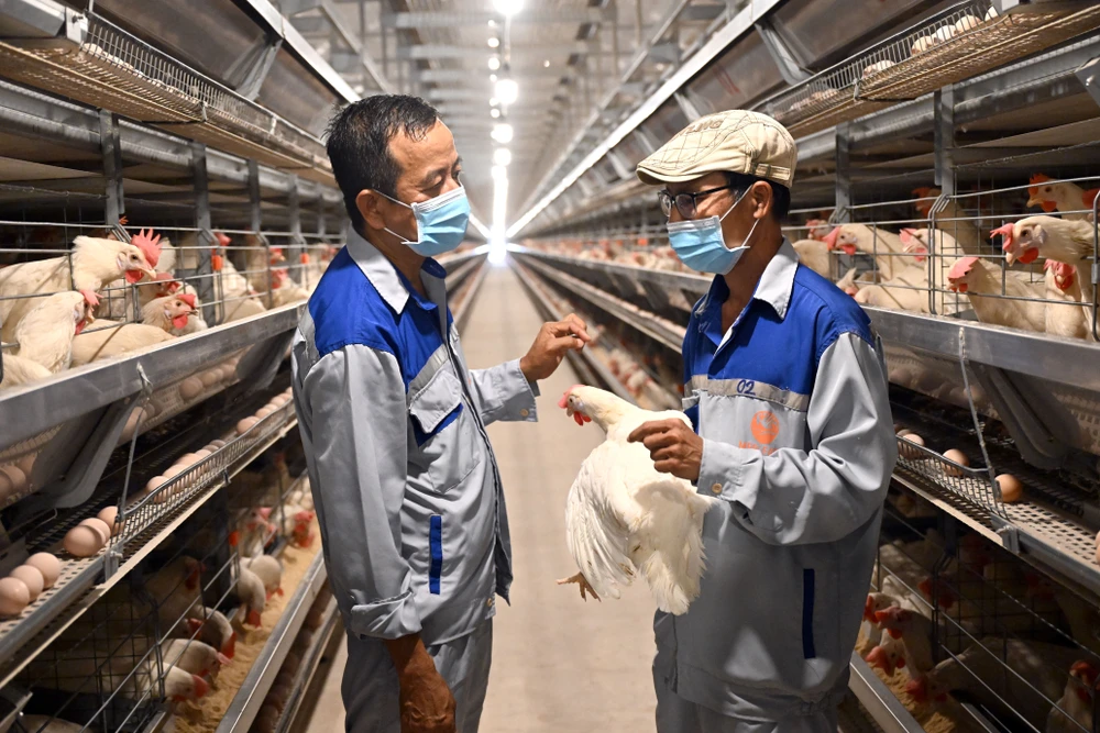 doanh-nghiep-giai-bai-toan-chi-phi (1).jpg