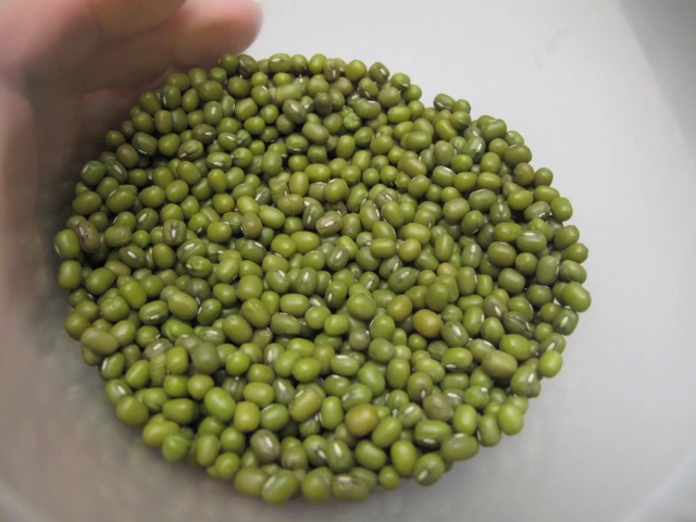 Những loại thảo dược có tác dụng giải độc ảnh 2