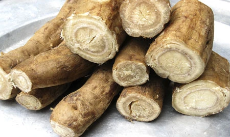 Những loại thảo dược có tác dụng giải độc ảnh 6