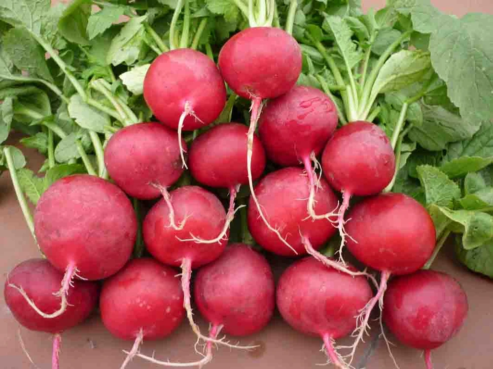 8 thực phẩm vàng trị bệnh trĩ ảnh 3