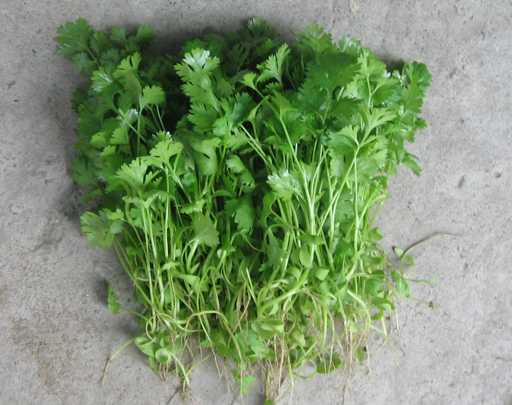 Mẹo đơn giản làm môi hết thâm ảnh 1