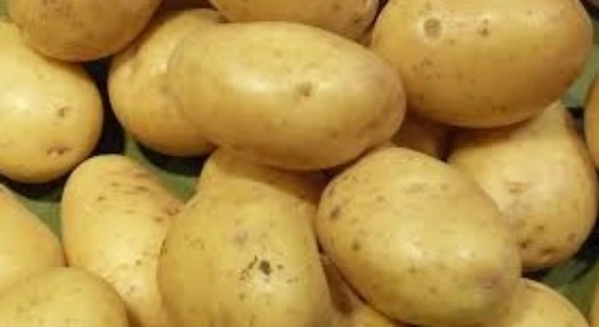 Bài thuốc đơn giản chữa tóc bạc sớm ảnh 7 Bài thuốc đơn giản chữa tóc bạc sớm ảnh 7