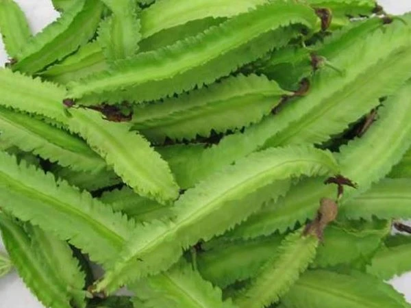 Top 10 loại rau củ giàu canxi ảnh 1 Top 10 loại rau củ giàu canxi ảnh 1