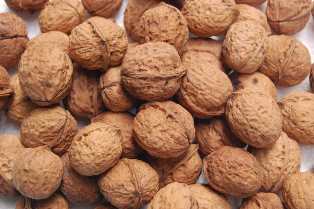 5 thực phẩm giàu chất xơ giảm nguy cơ ung thư vú ảnh 2