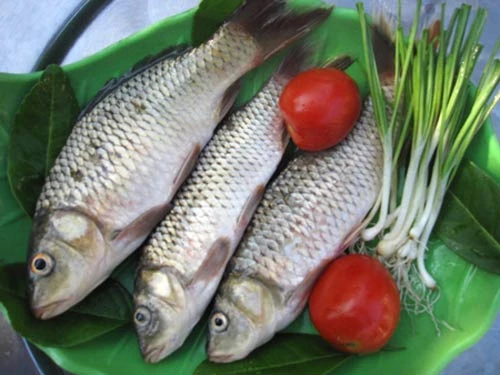 5 điều bắt buộc phải biết khi ăn cá ảnh 1 5 điều bắt buộc phải biết khi ăn cá ảnh 1