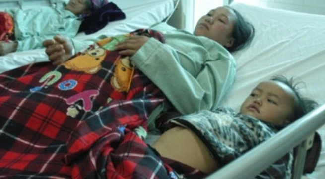 19 người nhập viện vì ăn nấm rừng ảnh 1