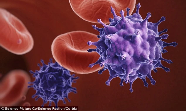 Giải mã bí mật về 2 người có khả năng vô hiệu hóa HIV ảnh 1