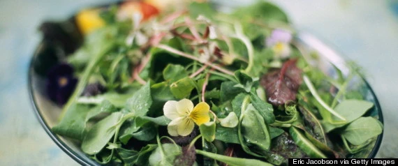 Người trên 50 tuổi thường thiếu những chất nào? ảnh 2