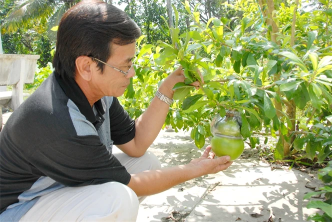 Cận cảnh quy trình sản xuất đào tiên hồ lô 1,4 triệu/cặp ảnh 5