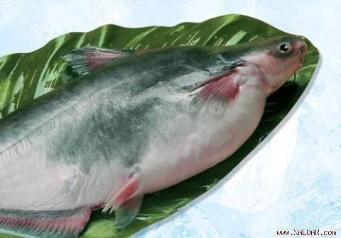 Những thực phẩm giúp giảm đau đầu ảnh 2