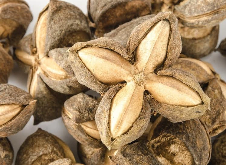 6 loại thực phẩm mới tốt cho giảm cân ảnh 5