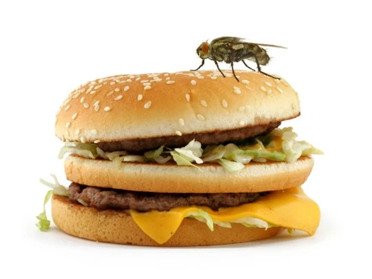 10 sự thật thú vị lẫn đáng sợ về sức khỏe ảnh 2