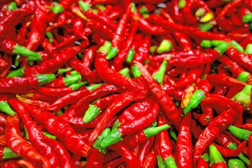 Tạm biệt rụng tóc nhờ 7 nguyên liệu tự nhiên ảnh 3