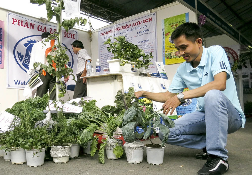 'Hàng độc' tại hội chợ triển lãm giống nông nghiệp ảnh 6
