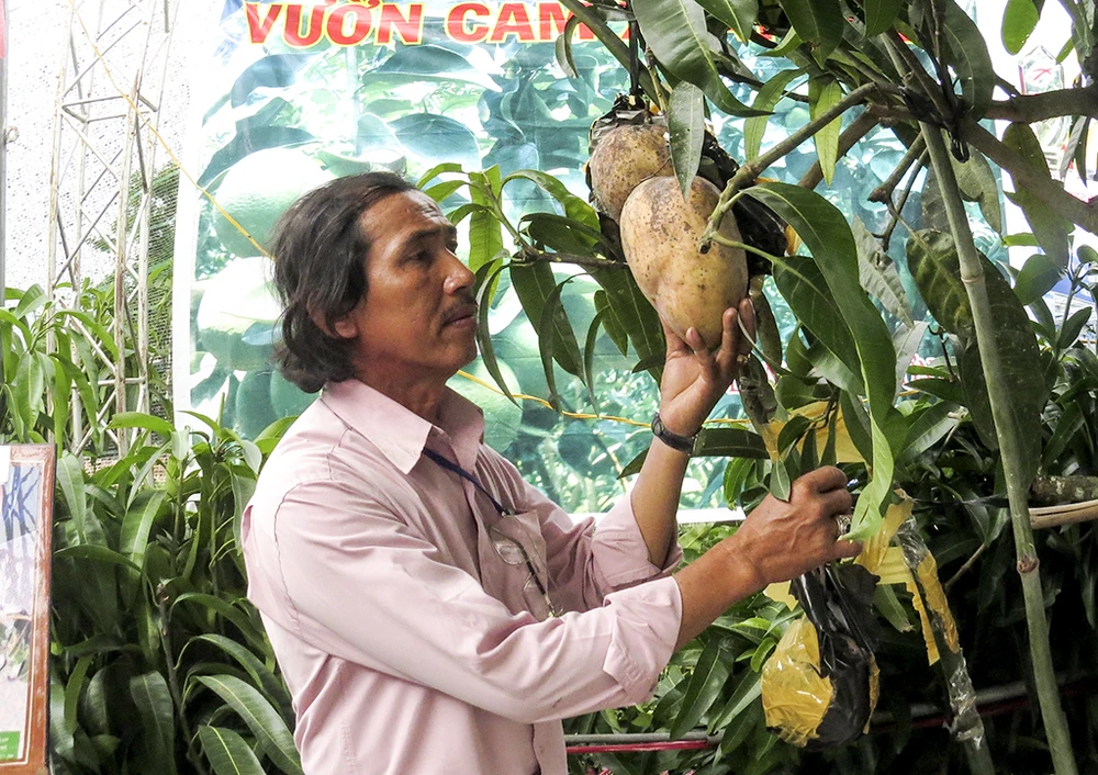 'Hàng độc' tại hội chợ triển lãm giống nông nghiệp ảnh 7