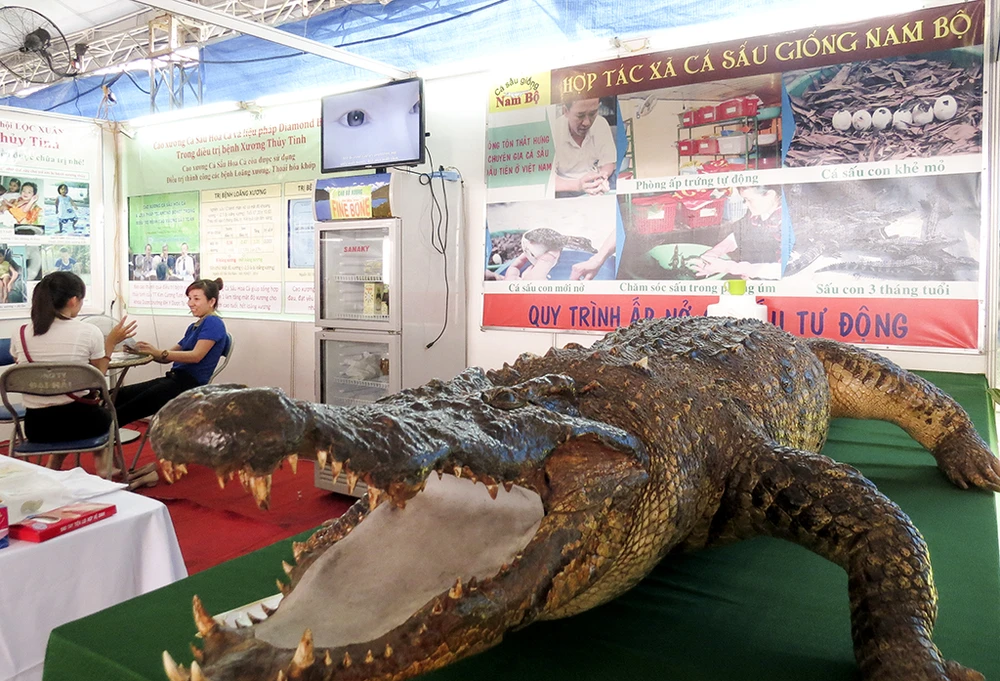 'Hàng độc' tại hội chợ triển lãm giống nông nghiệp ảnh 8