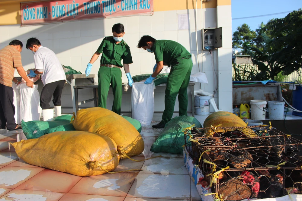 Bắt giữ gần 1 tấn mỡ heo, gia cầm chưa qua kiểm dịch ảnh 2