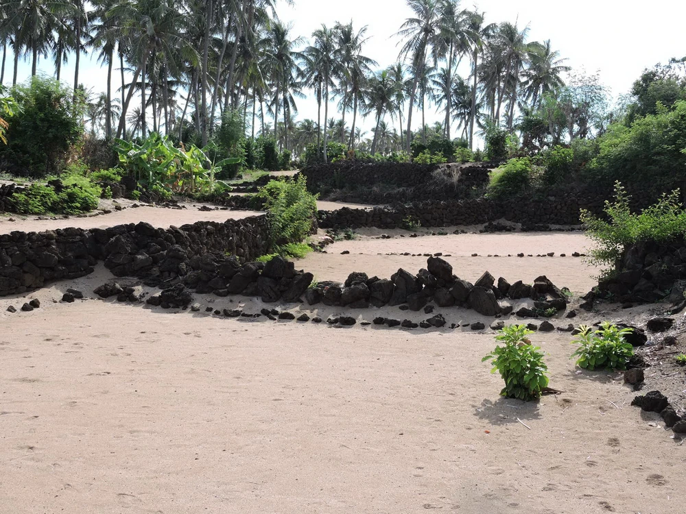 Hút hồn vẻ đẹp ruộng bậc thang giữa biển Đông ảnh 2