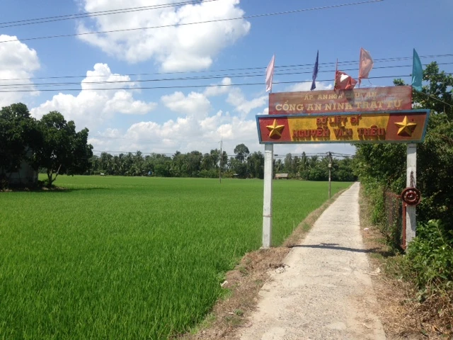 Những hình ảnh đầu tiên của bé sơ sinh bị đâm vào đầu khi về tới nhà ảnh 3