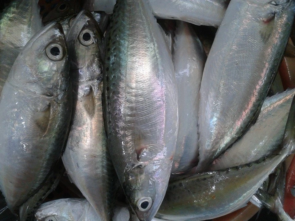 Các loại vitamin cần cho người trung niên ảnh 6