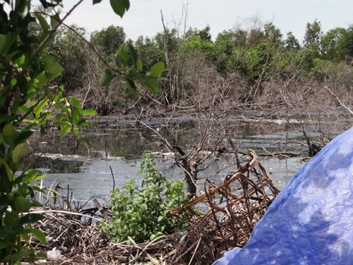 ‘Đột kích’ khu sơ chế chất thải chui lớn nhất Sài Gòn ảnh 6