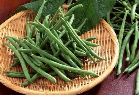 Tám cách để giữ mái tóc đẹp ảnh 1 Tám cách để giữ mái tóc đẹp ảnh 1