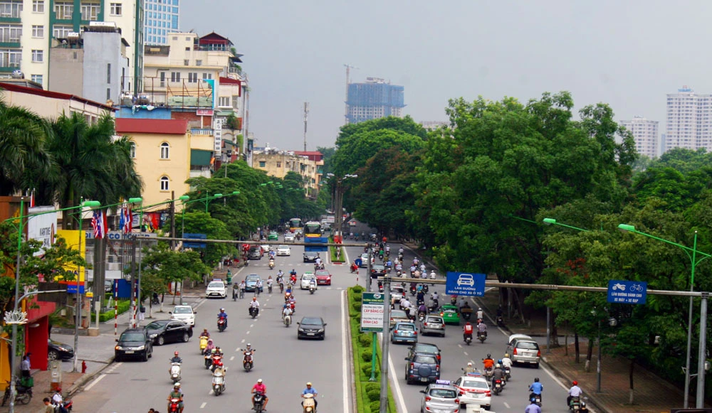 Nhìn lại hàng cây cổ thụ đường Kim Mã trước ngày bị đốn hạ ảnh 8