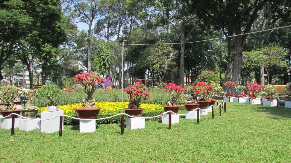 Rộn ràng khai mạc Hội hoa xuân Tết Bính Thân ảnh 3 Rộn ràng khai mạc Hội hoa xuân Tết Bính Thân ảnh 3