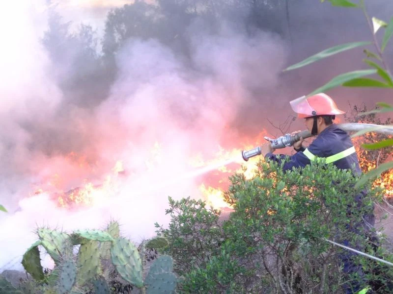 Lực lượng cứu hỏa đang tiến hành dập lửa.