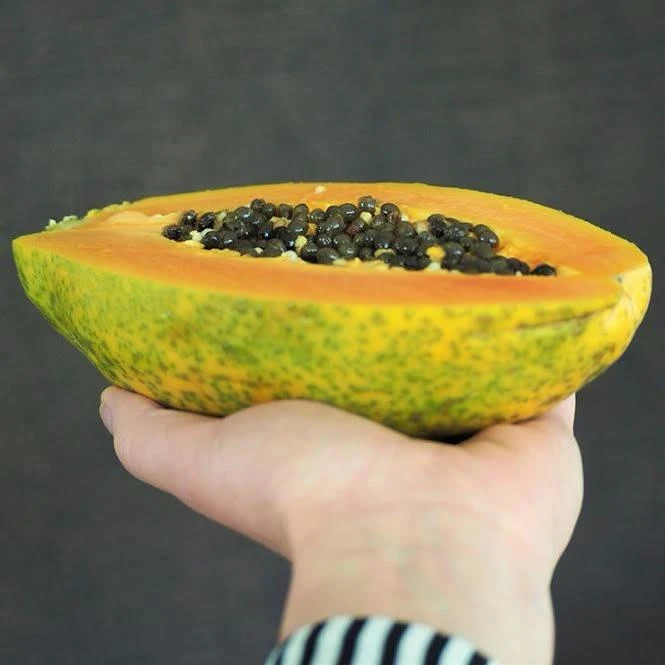 Chiết xuất từ hạt và lá đu đủ có khả năng diệt nấm, ngăn chặn nhiễm nấm