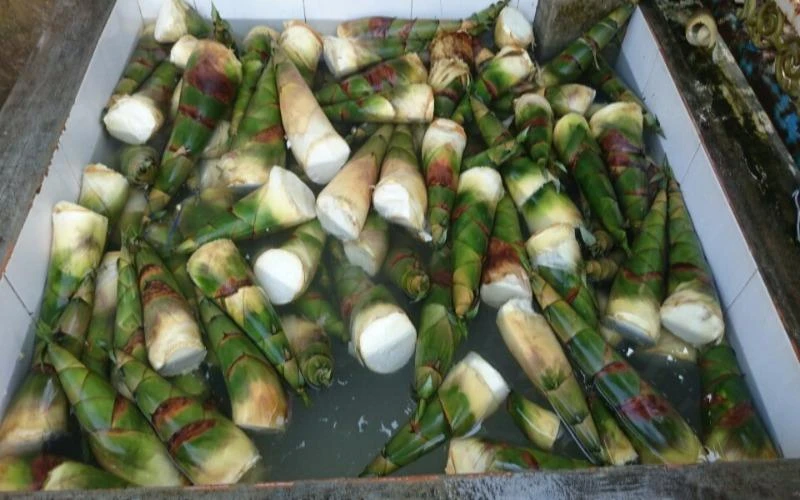 măng ngâm hóa chất