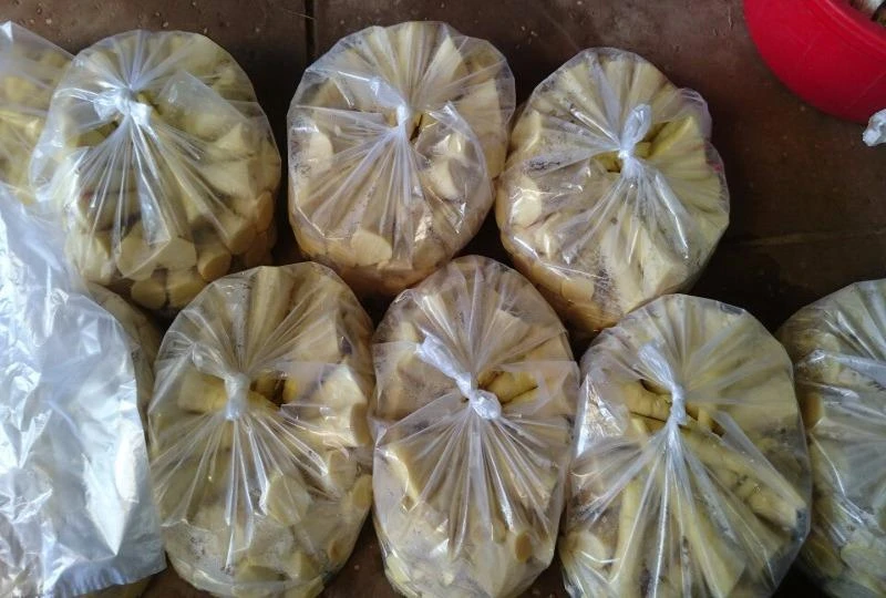 măng tre ngâm hóa chất