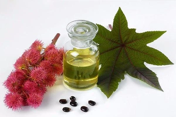 Tinh dầu thầu dầu