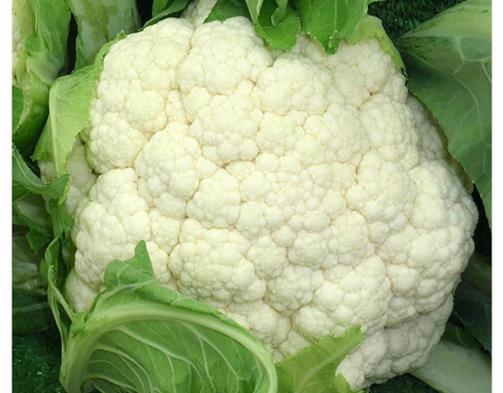 Súp lơ (bông cải) giúp đốt cháy mỡ trong cơ thể.