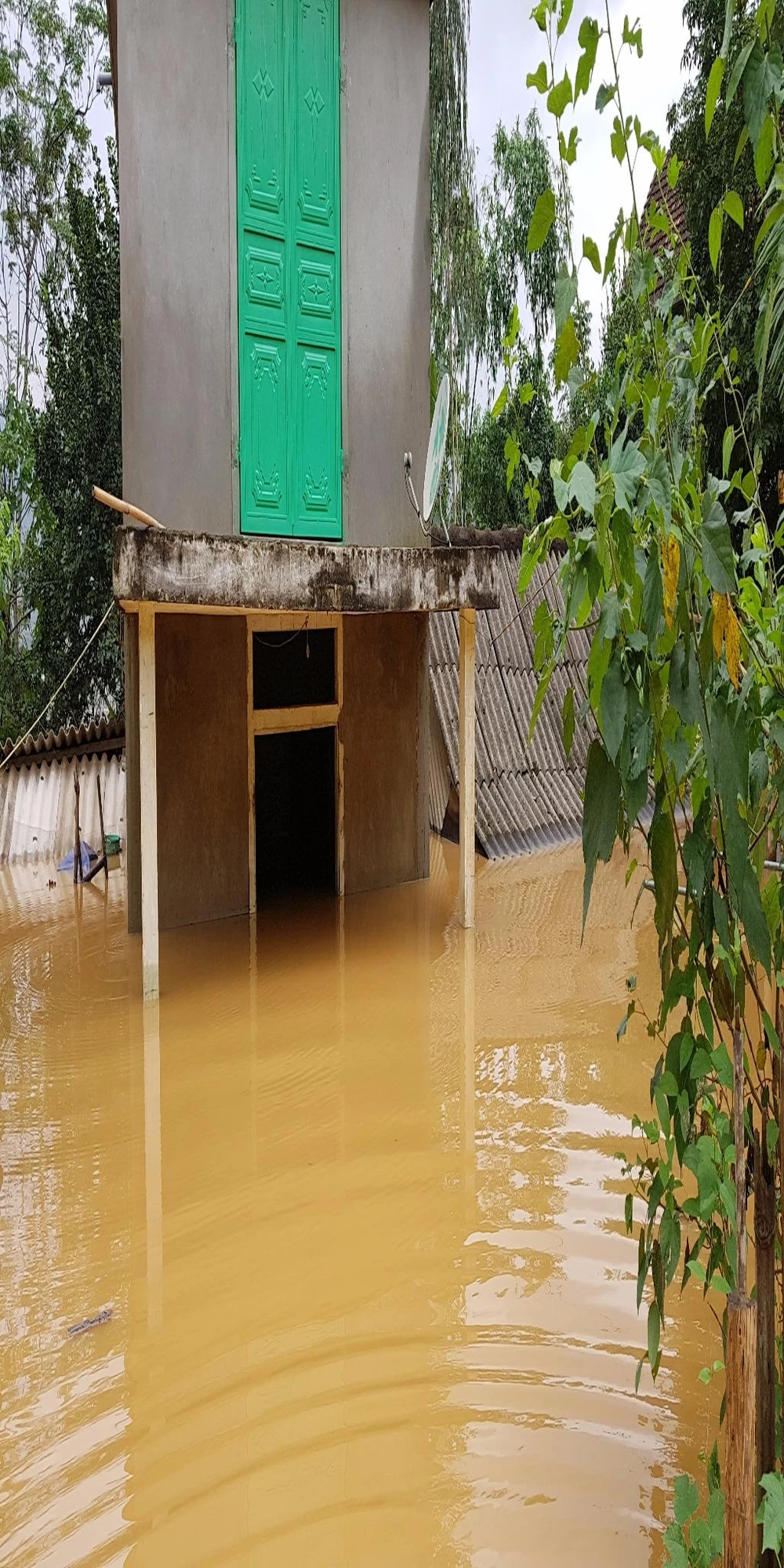 Nhà dân ở Bắc Hóa, Mai Hóa bị lũ nhấn chìm