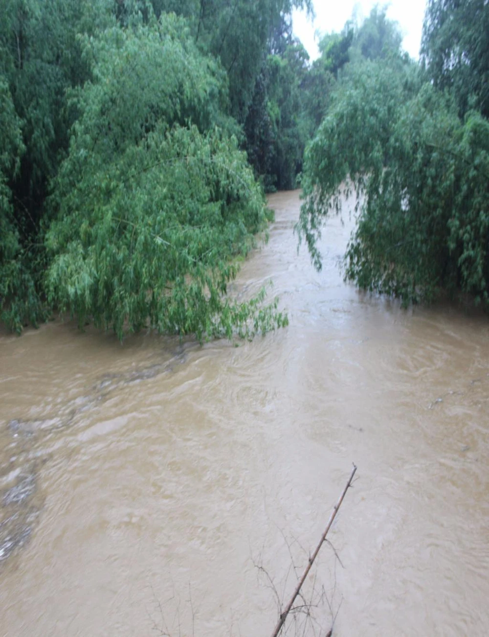 Nước sông Phước Giang dâng cao 