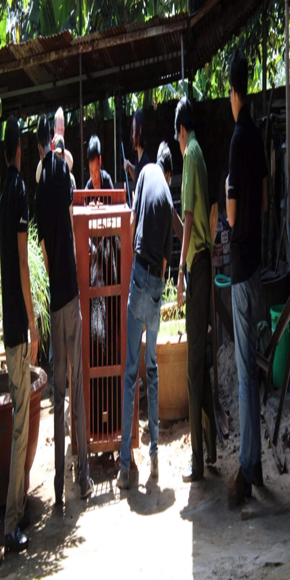 thả gấu về tự nhiên