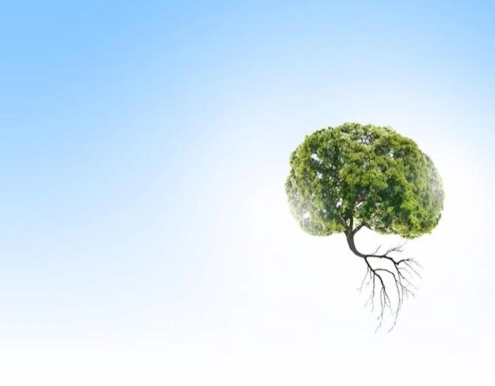 dấu hiệu phổi có vấn đề 2