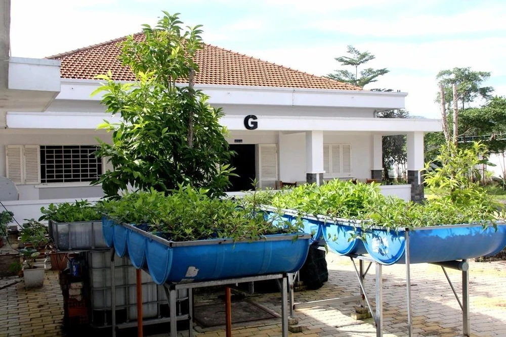 BV đầu tiên 100% bệnh nhân được dùng nước nóng ảnh 7 rau thủy canh