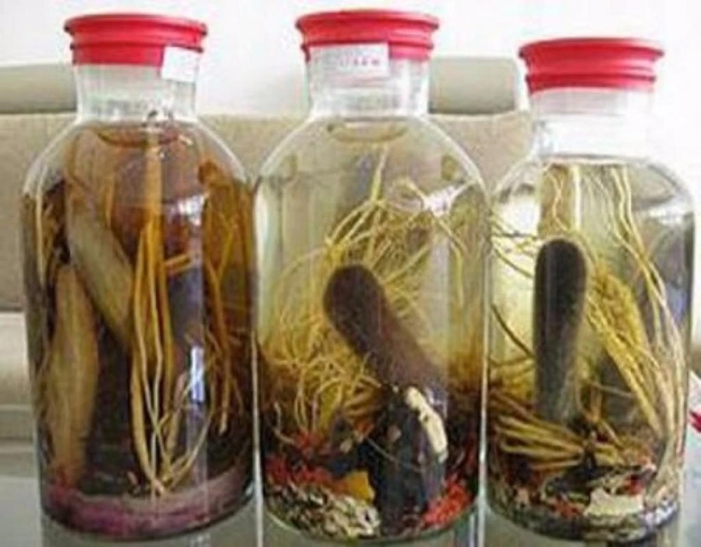 cần hỏi bác sĩ khi ngâm rượu thuốc