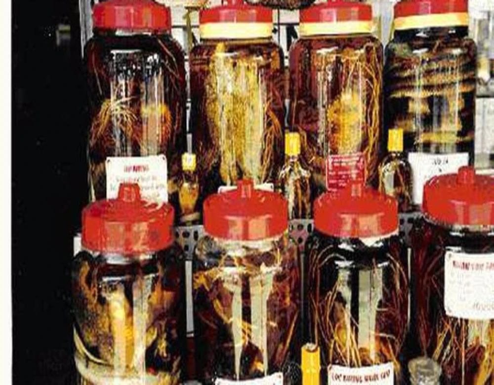 tác hại của rượu thuốc