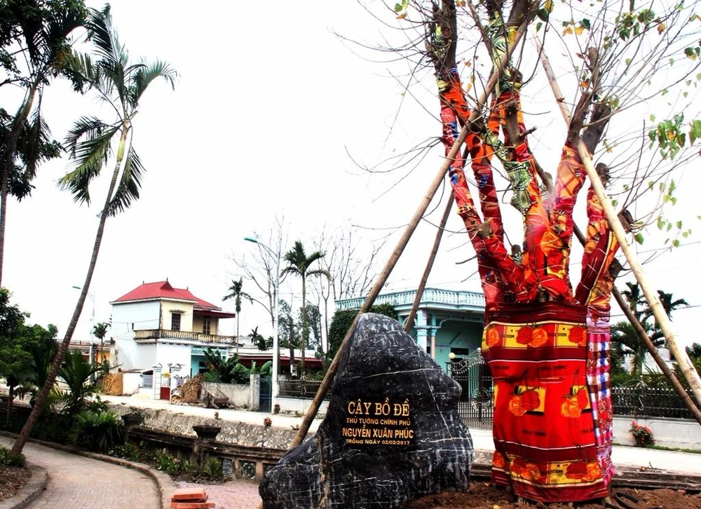 Cây bồ đề do Thủ tướng Nguyễn Xuân Phúc trồng tại đền Trần Thương 