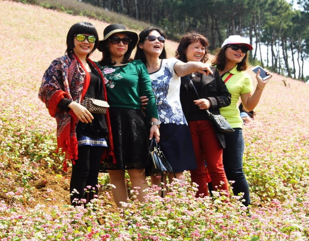 Những du khách chụp ảnh lưu niệm bên những luống hoa tam giác mạch.