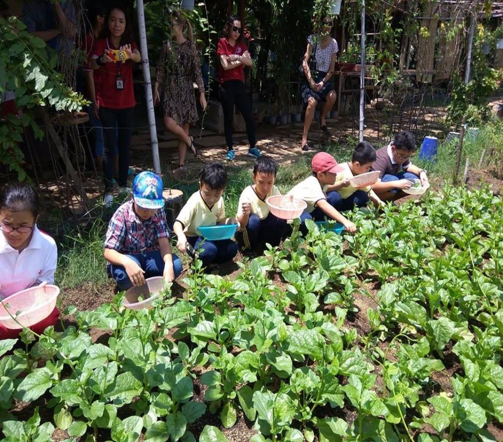 Các bé đang tập hái rau tại Family Garden