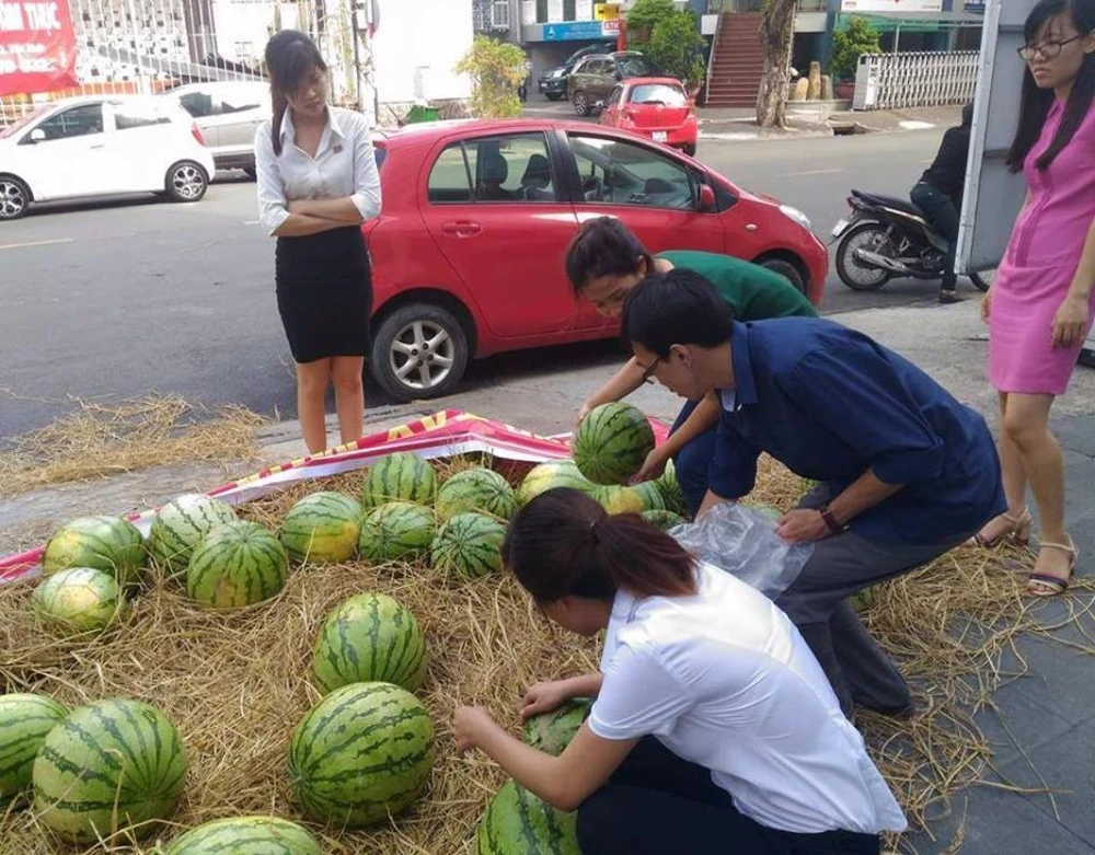 giải cứu dưa hấu 1